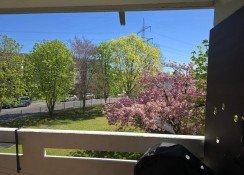 Hauptbild Ankommen & Wohlfühlen: Moderne 4-Zimmer-Wohnung mit sonniger Loggia!